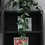 Panzió A Casa Di Gianni
